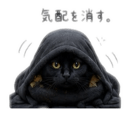 852272367