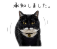 852272373