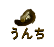 852272381