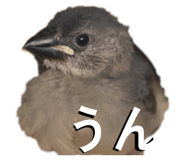 852272382