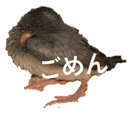 852272386