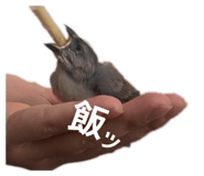 852272387