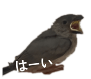 852272390