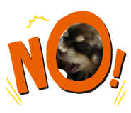 852272399