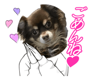 852272405