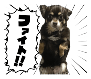 852272406