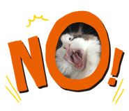 852272443