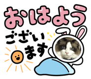 852272453