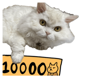 852273097