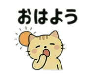 852273585