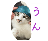 852273960