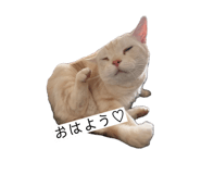 852274163