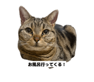 852274164