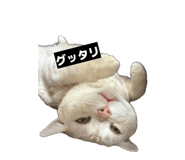 852274165