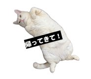 852274166