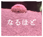 852274391