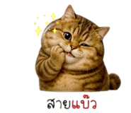 852275825