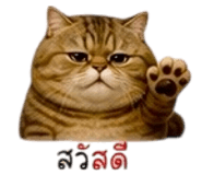852275828