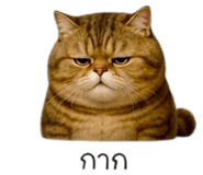 852275838