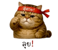 852275842