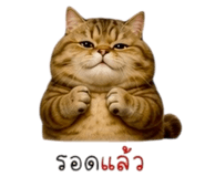 852275851