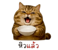 852275855