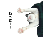 852278163