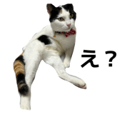 852278167