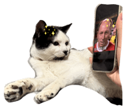 852278186