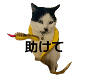 852278189
