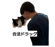 852278191