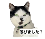 852278192