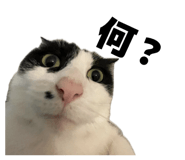 852278413