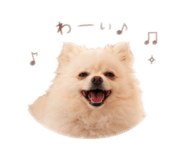 852278679