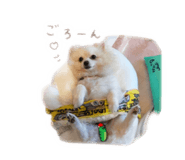 852278686