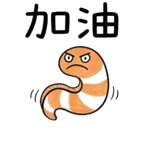 852279441