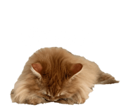 852282170