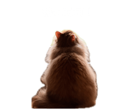 852282174