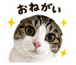 852282455