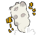 852282495