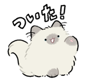 852282509