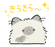 852282516