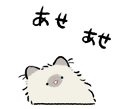 852282521