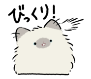 852282523