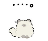 852282525