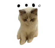 852282889