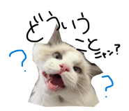 852282891