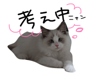 852282892
