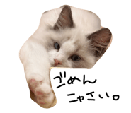 852282898