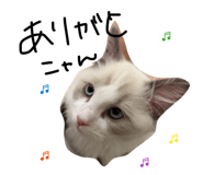852282899